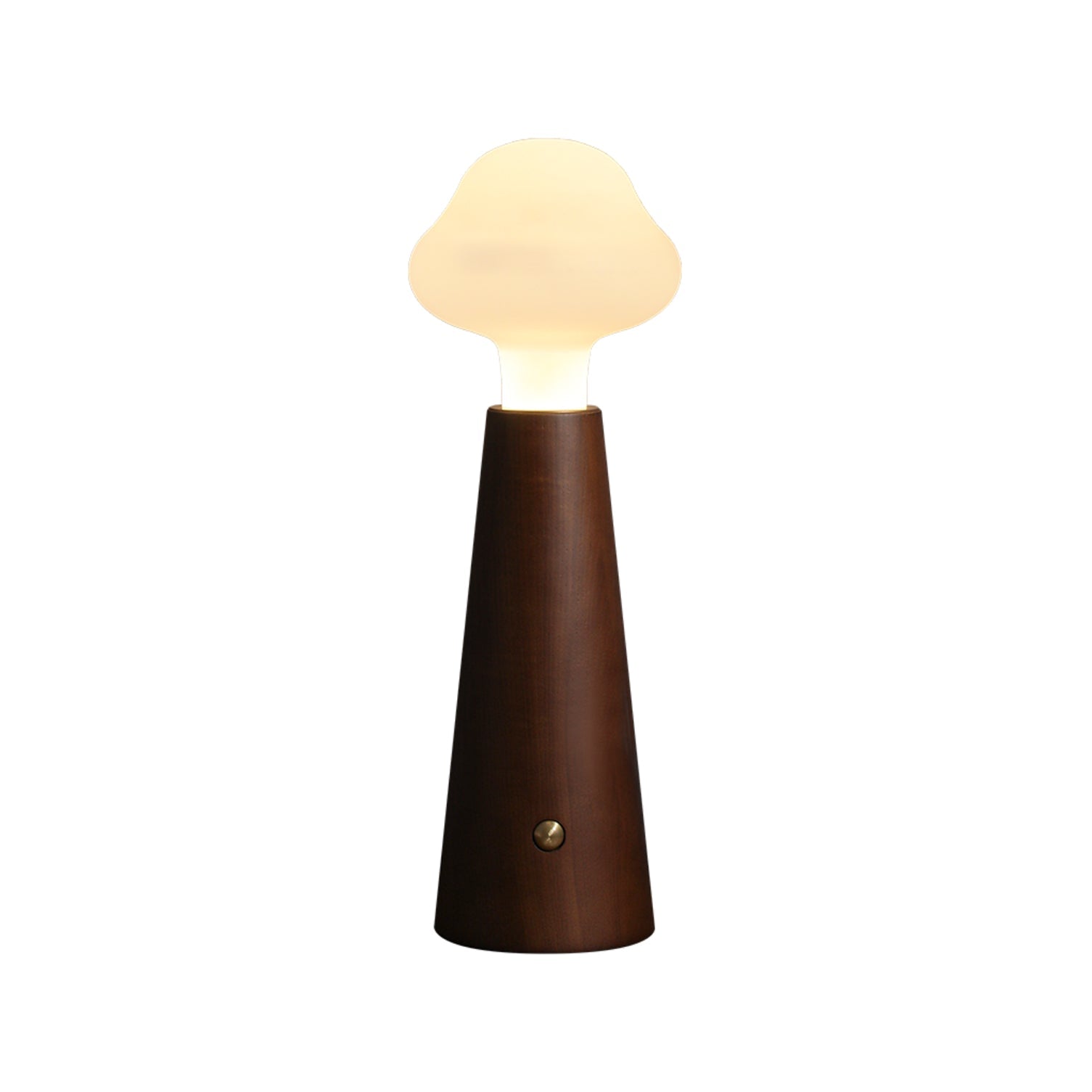 Lyrae Lumina Table Lamp in Metal Wood and Acrylic Finish | Snurv